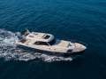 Mochi Craft Dolphin 54
