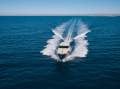 Mochi Craft Dolphin 54