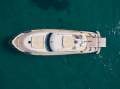 Mochi Craft Dolphin 54