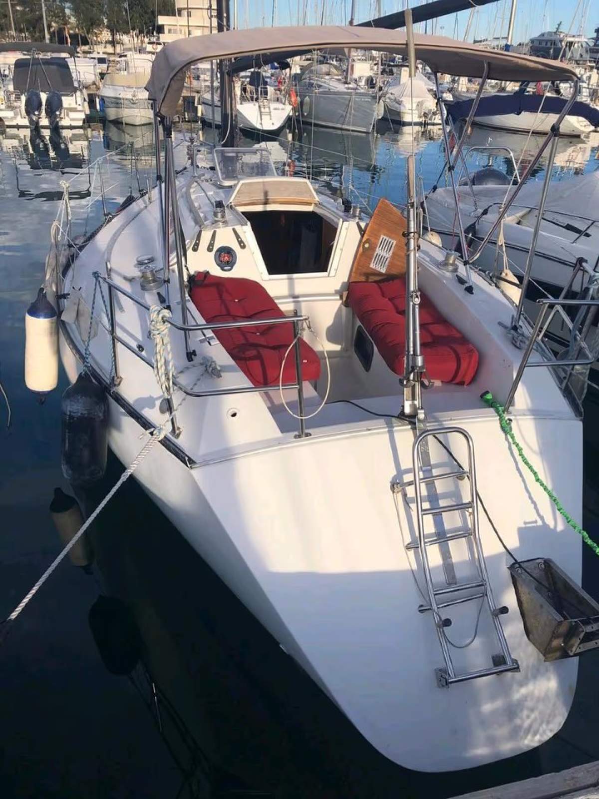 Conati 31
