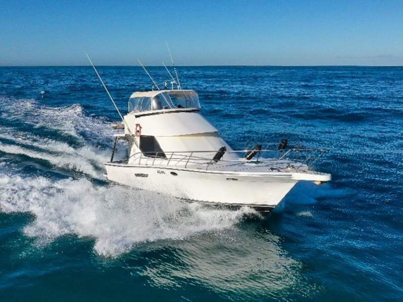 AM 38 Flybridge Cruiser