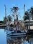 NSW Trawler fishing business package