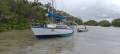 Southern Cross 23