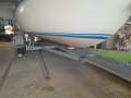 Austral 20