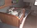 Austral 20
