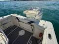 Boston Whaler 240 Outrage