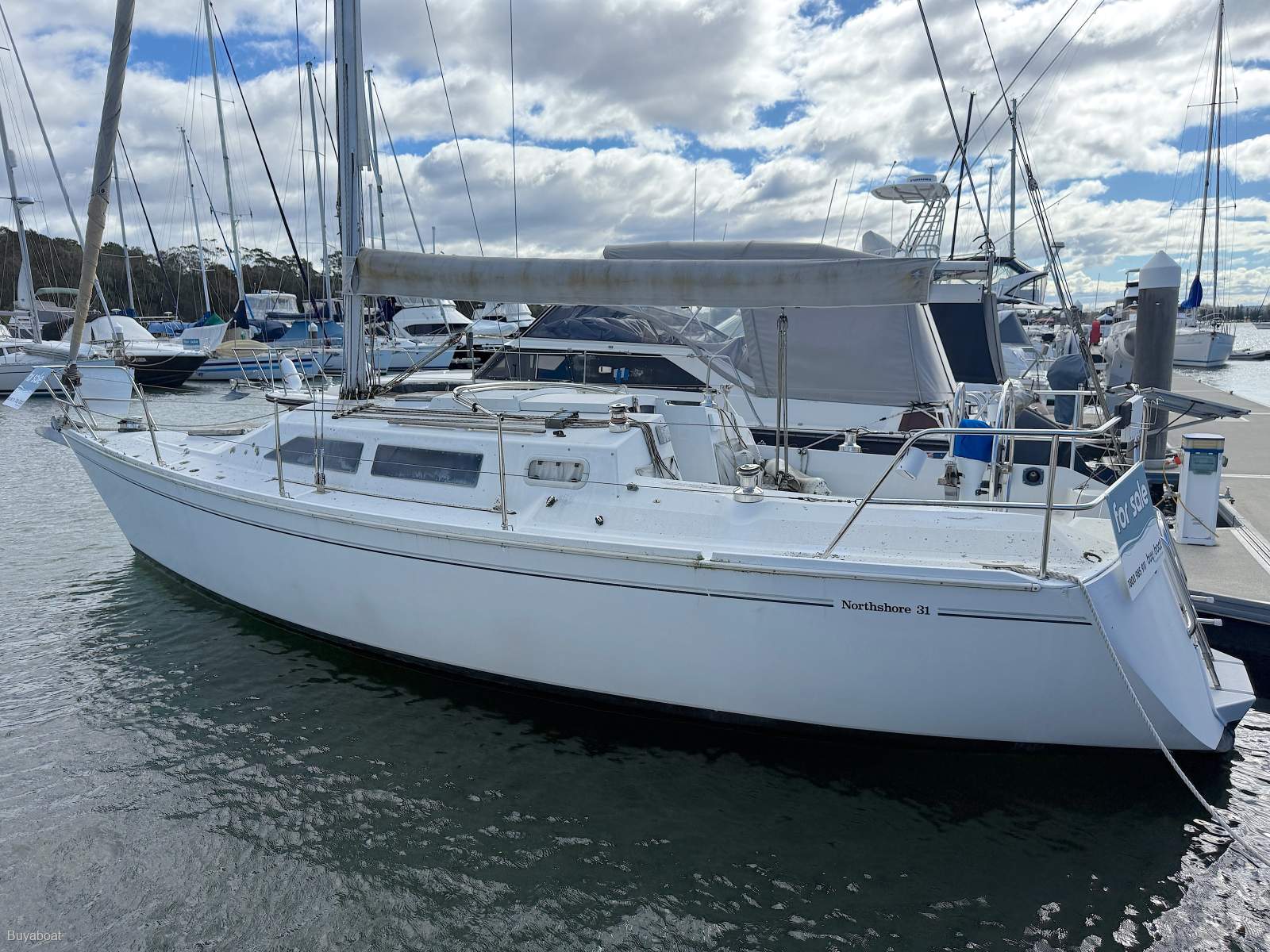 Northshore 31