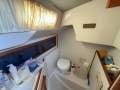 Northshore 31