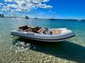 Williams 445 Dieseljet