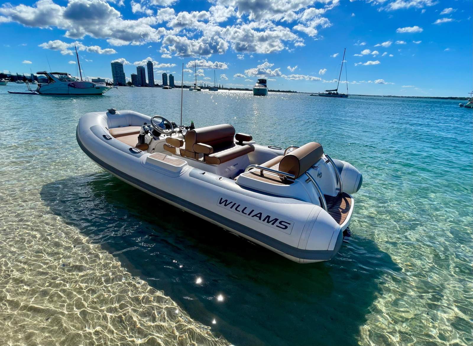 Williams 445 Dieseljet