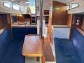 Northshore 340 Sports Cheap Price To Sell (Sydney Harbour)