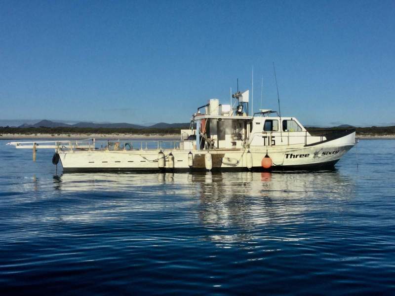 Doven Dover craft