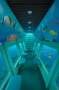 12m Glass Bottom Semi-Submersible Tourist Vessel