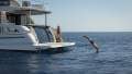 Absolute Navetta 64 - THE ABSOLUTE PATHFINDER