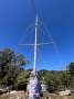 Adams 36 Traditional