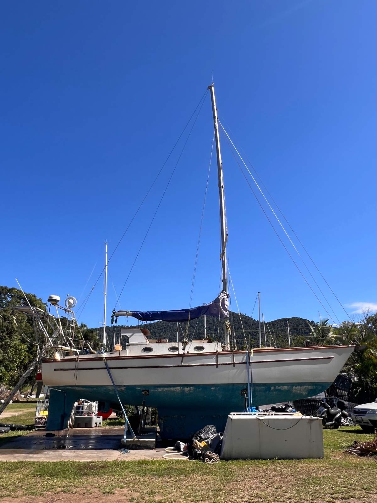 Adams 36 Traditional