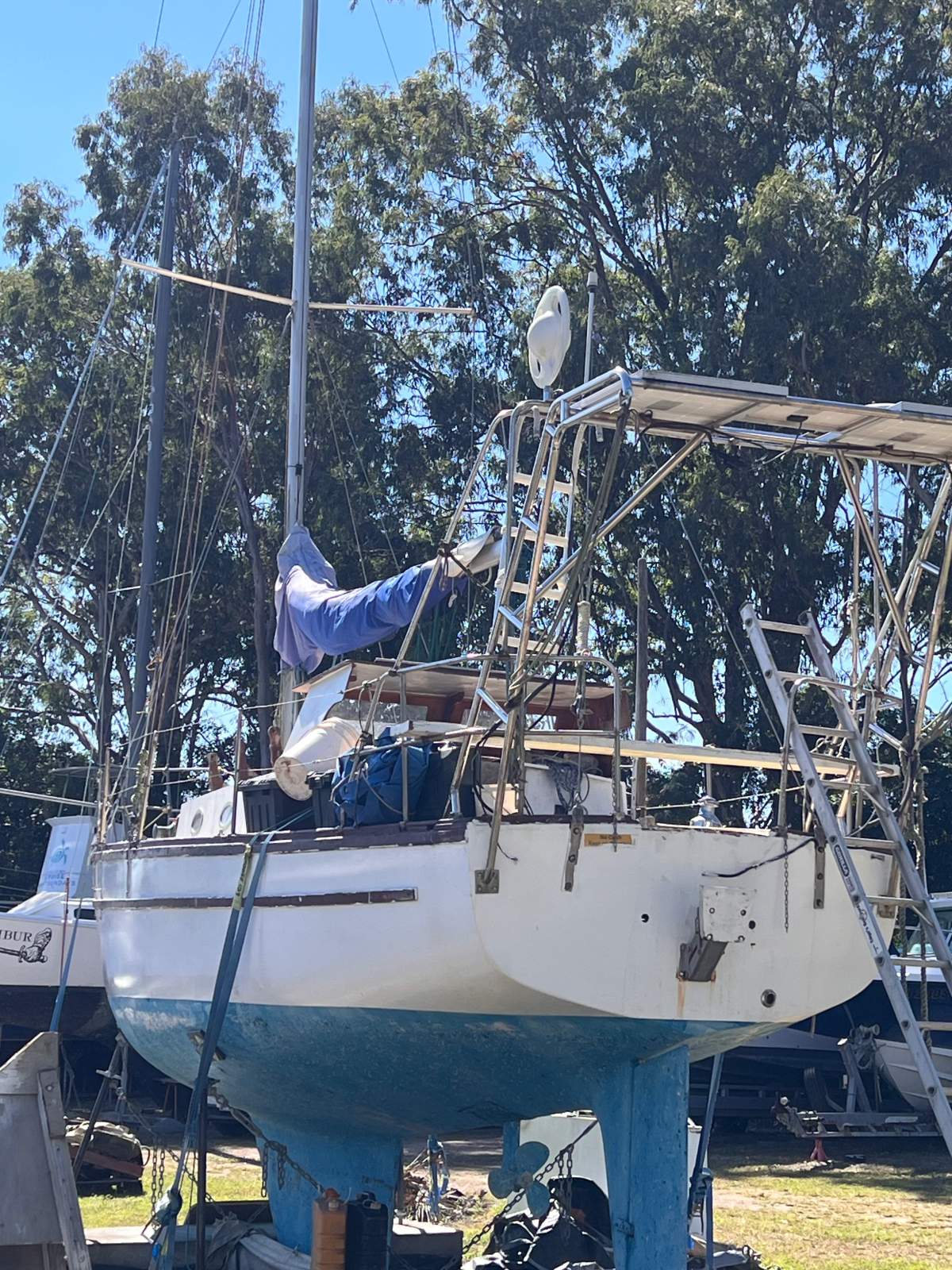 Adams 36 Traditional