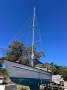 Adams 36 Traditional