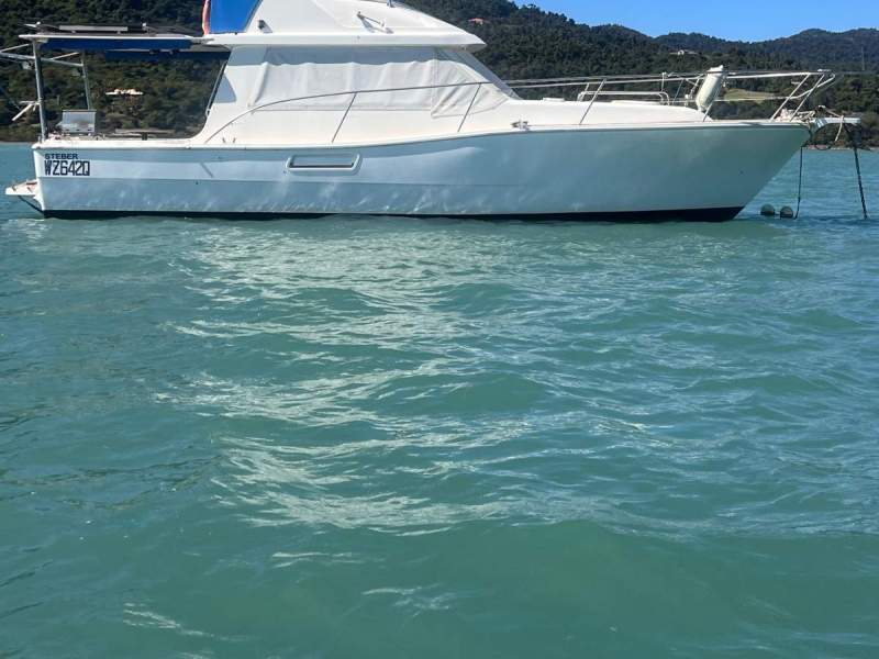 Stebercraft 36