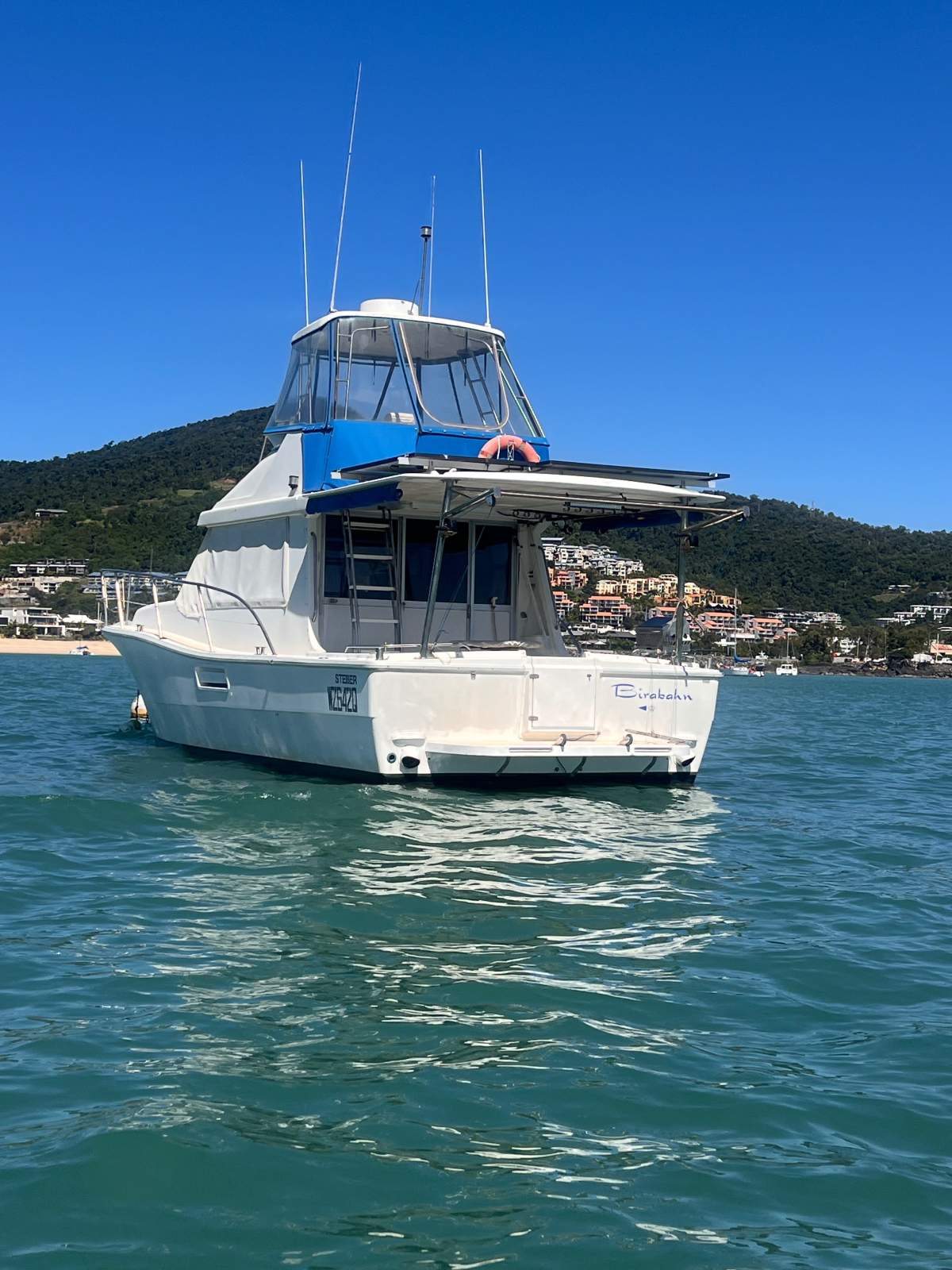 Stebercraft 36