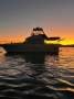 Stebercraft 36