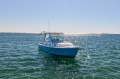 Back Cove 26