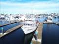 Westcoaster 47 FLYBRIDGE