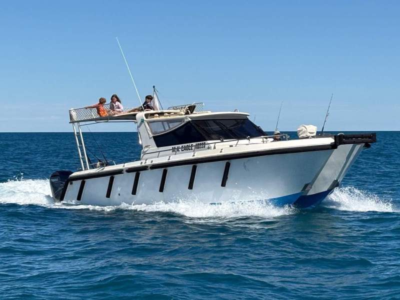 Coracle BowRyder Hardtop