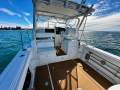 Sea Fox 287 Walkaround