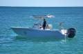Sea Fox 248 Commander *With optional Float Dock & pen*