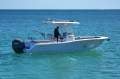 Sea Fox 248 Commander *With optional Float Dock & pen*