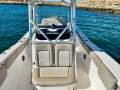 Sea Fox 248 Commander *With optional Float Dock & pen*