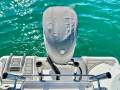 Sea Fox 248 Commander *With optional Float Dock & pen*