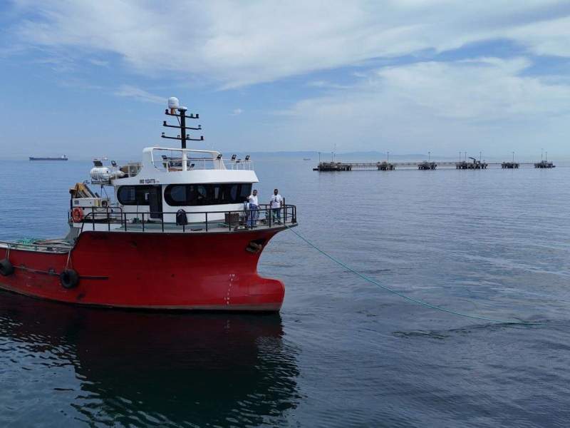 19m Workboat