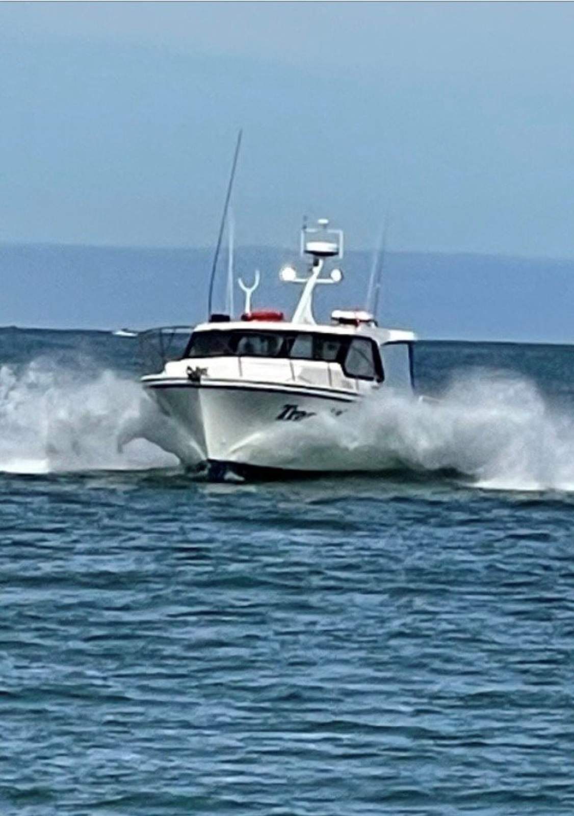 Steber 41