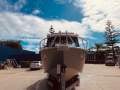Black Dog Offshore 7.4