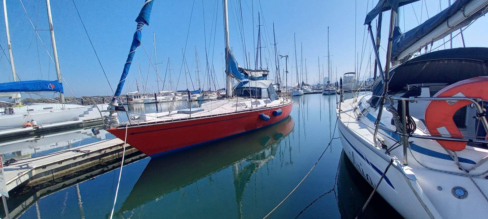Adams 12