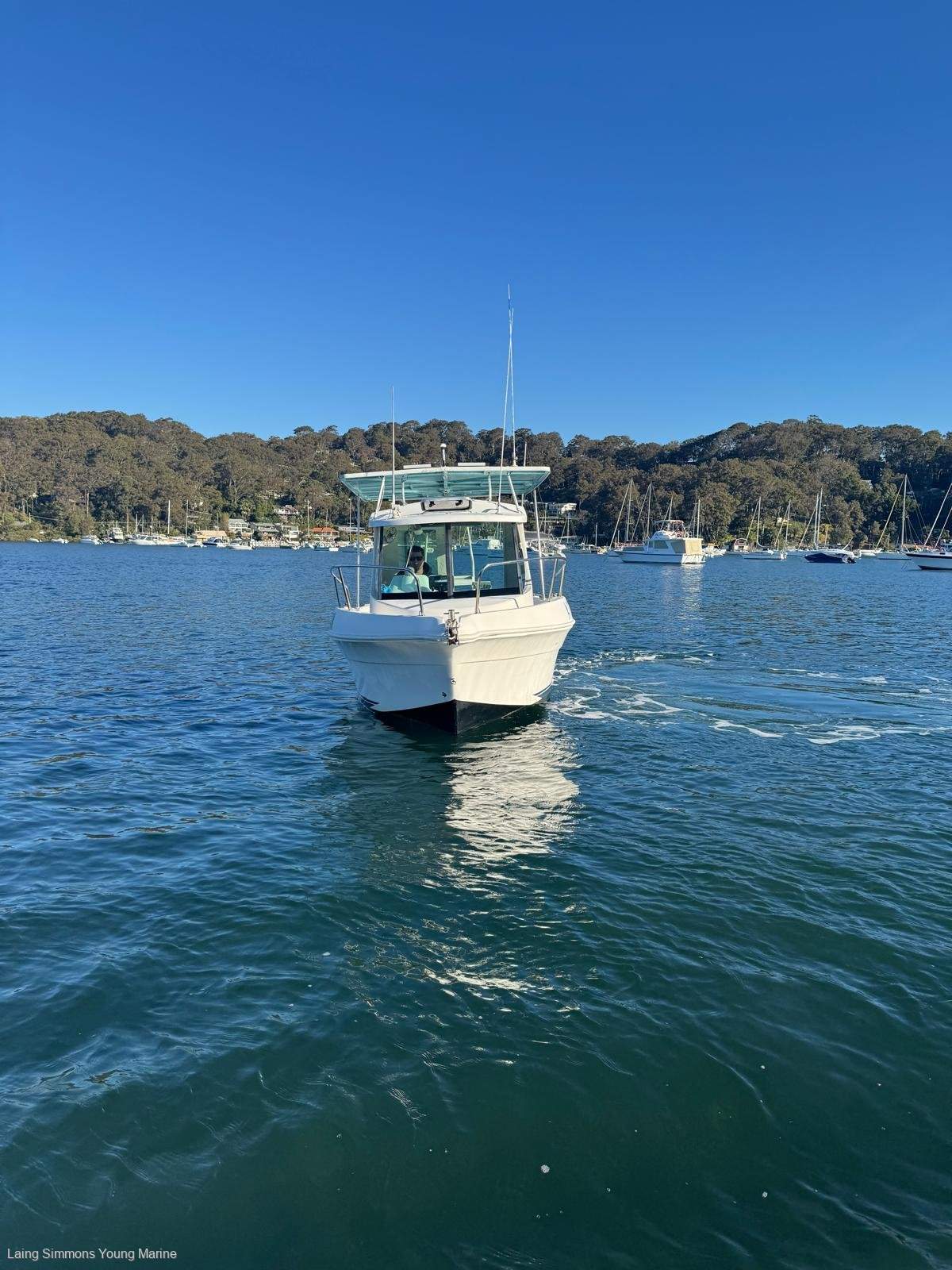 Arvor 20