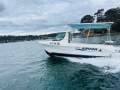 Arvor 20