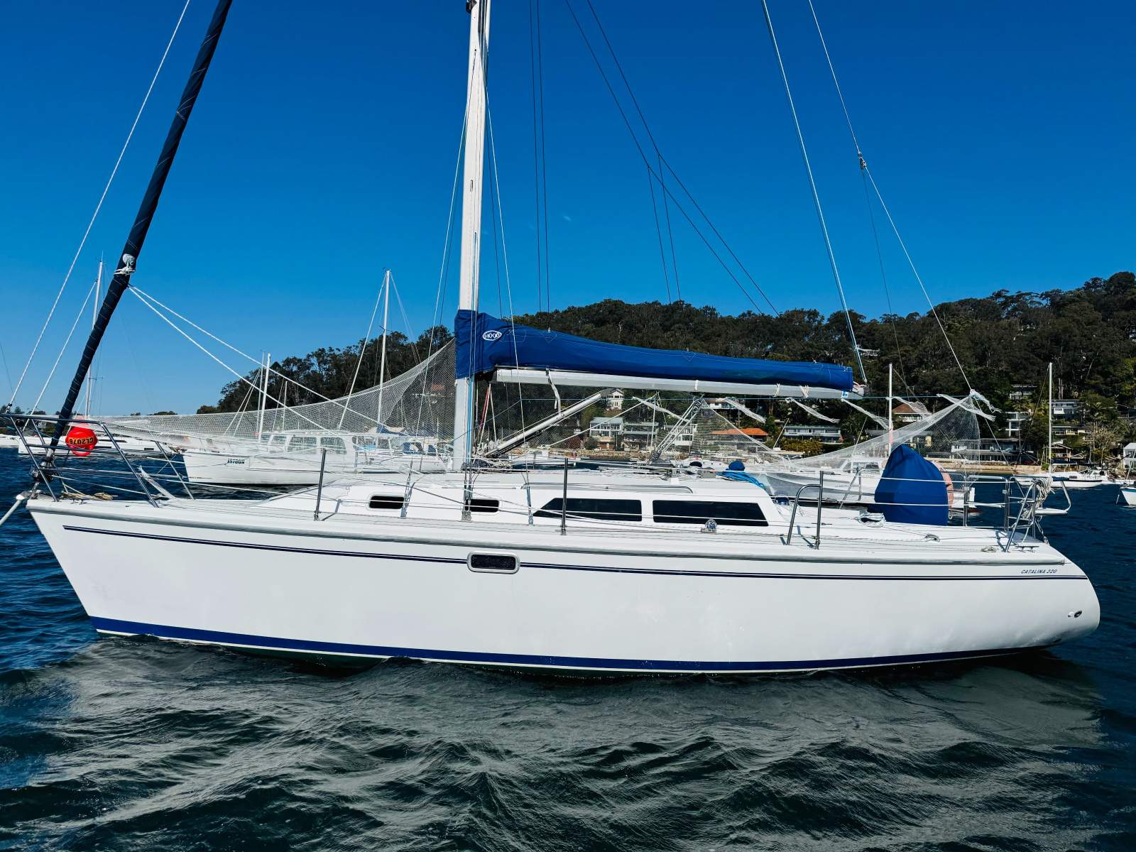 Catalina 320