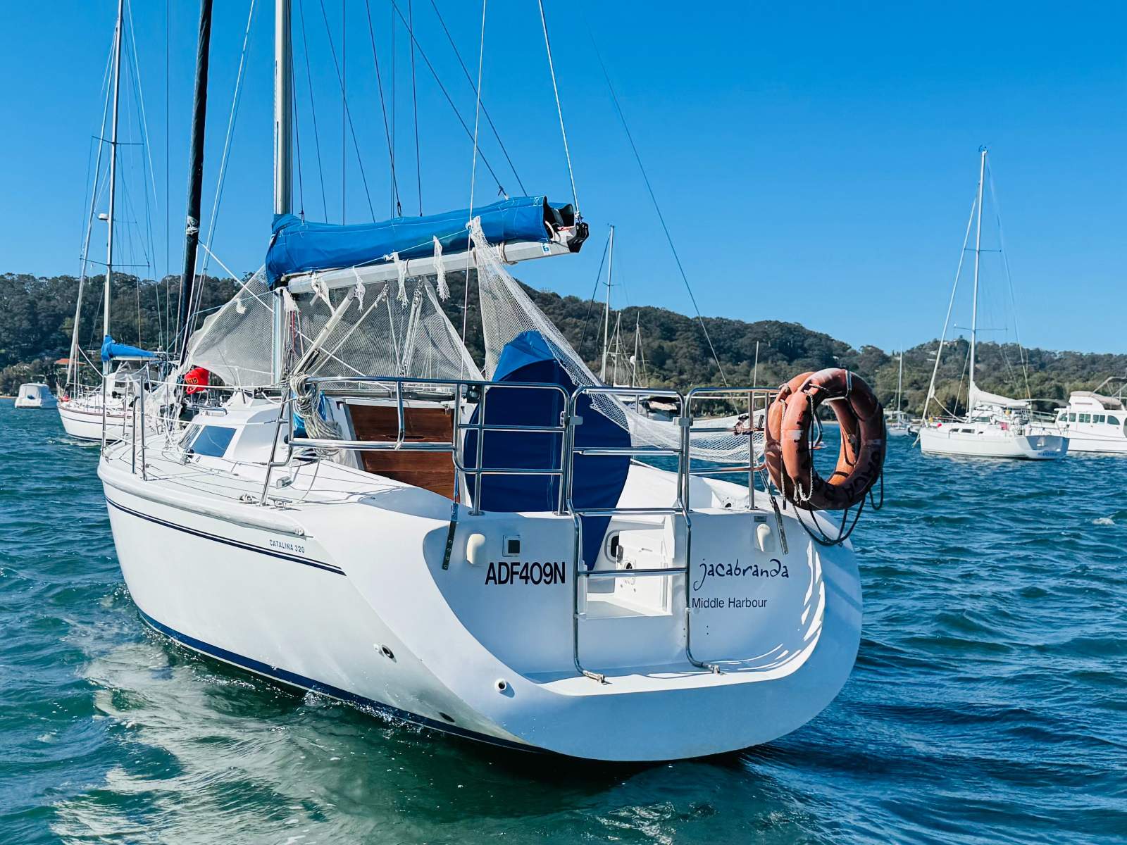 Catalina 320