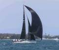 McConaghy MC31 One Design