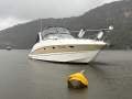 Larson Cabrio 330