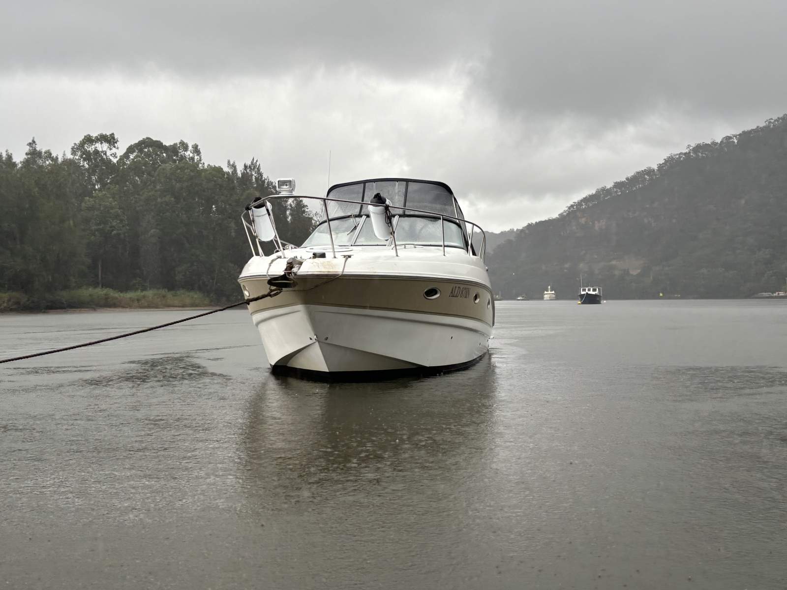 Larson Cabrio 330