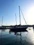 Contessa 32