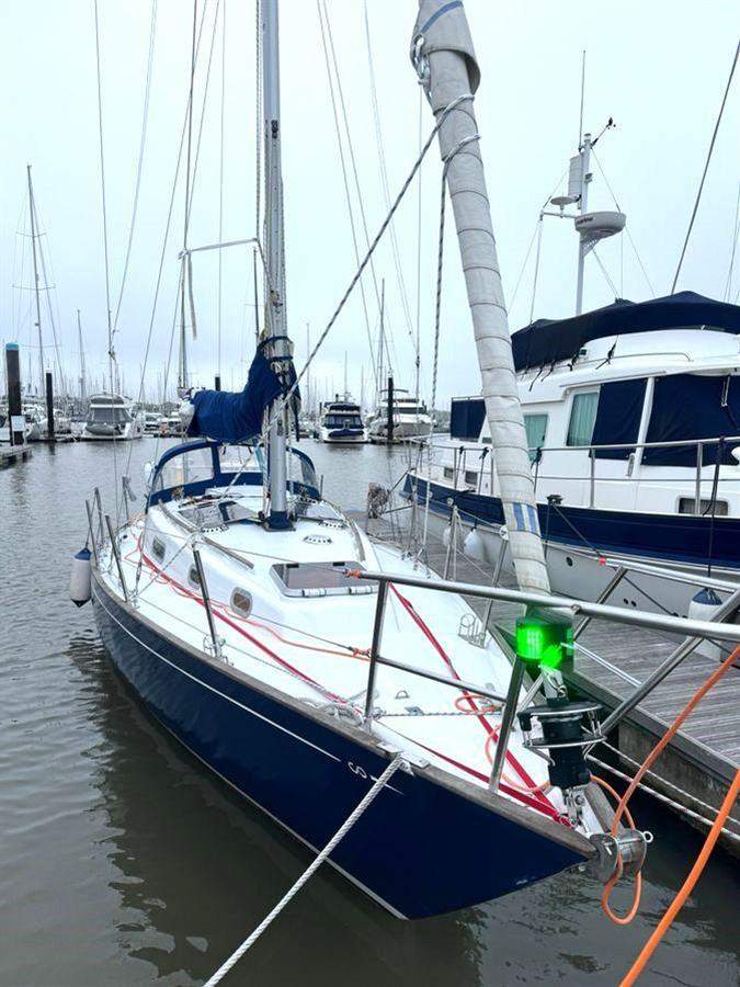 Contessa 32