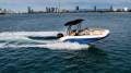 Bayliner DX2000 OB