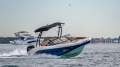 Bayliner DX2000 OB