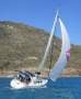 Hunter 310