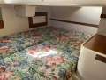 Catalina 320